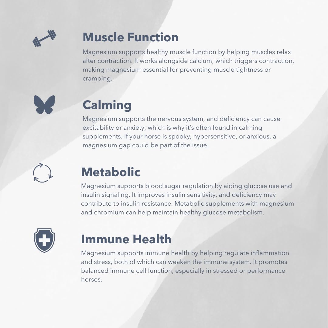 MVP Magnesium 5000: envase sellado para conservar gránulos de forma segura.