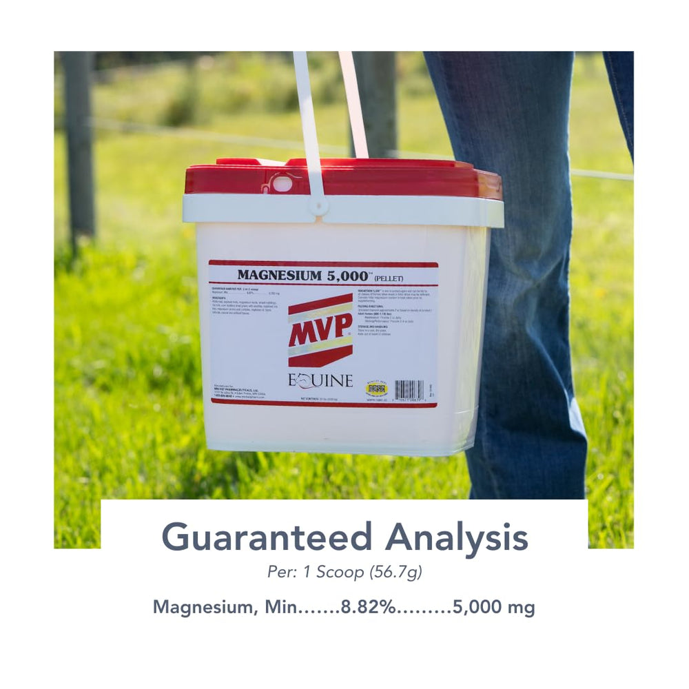 MVP Magnesium 5000, caballo relajado, apoyo suave para la convivencia diaria.