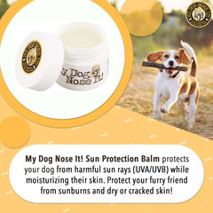 My Dog Nose It balsamo humectante para hocicos y narices de perros en playa.
