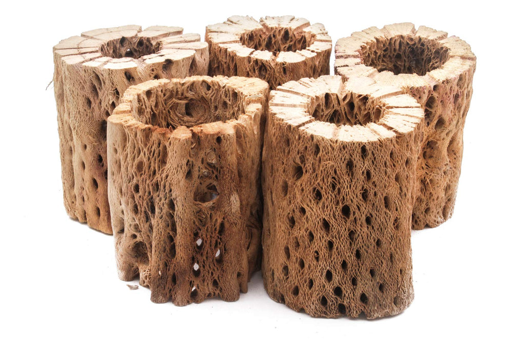 My Pet Patrol: madera cholla oso de peluche 36 pulgadas, refugio amplio para tanques grandes.