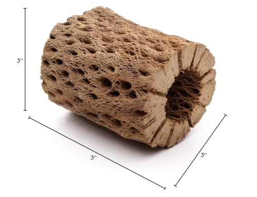 My Pet Patrol: madera cholla oso de peluche 48 pulgadas, solución decorativa orgánica para hábitats.