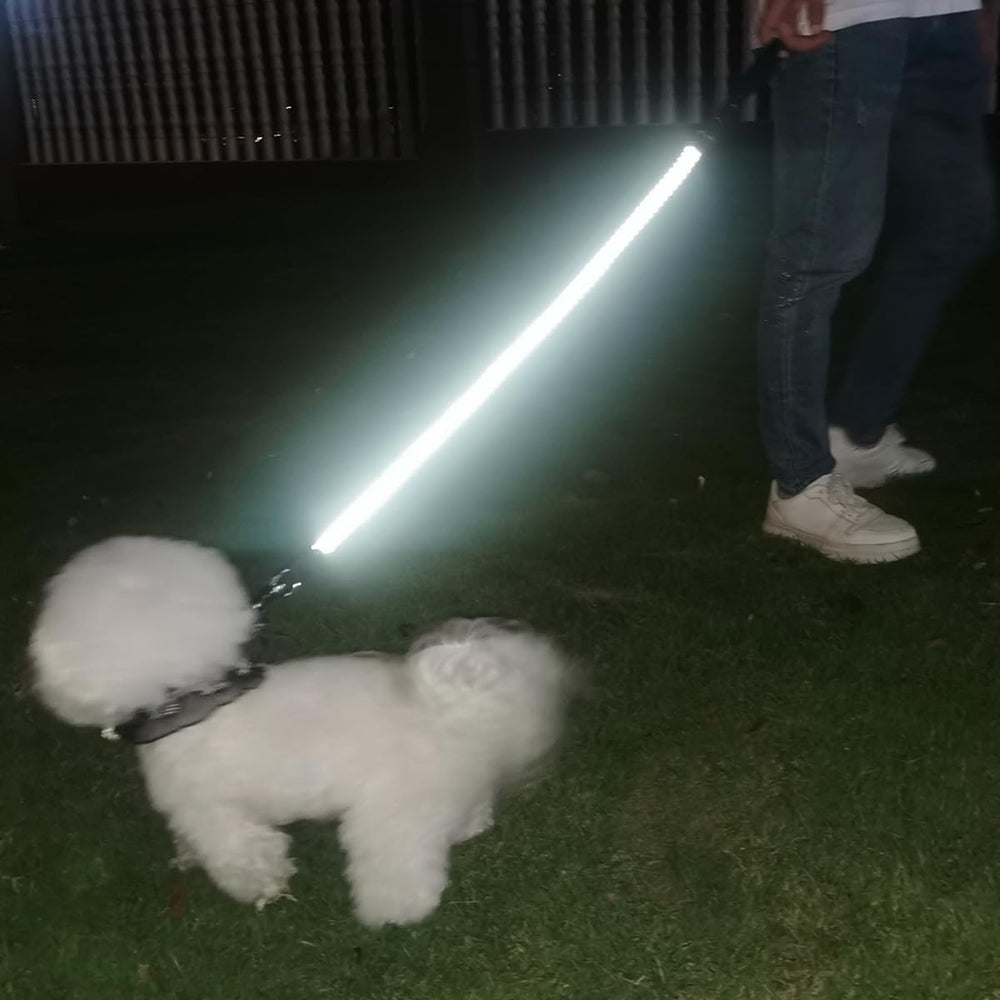 Mycicy correa resistente para perros medianos y grandes durante paseos.