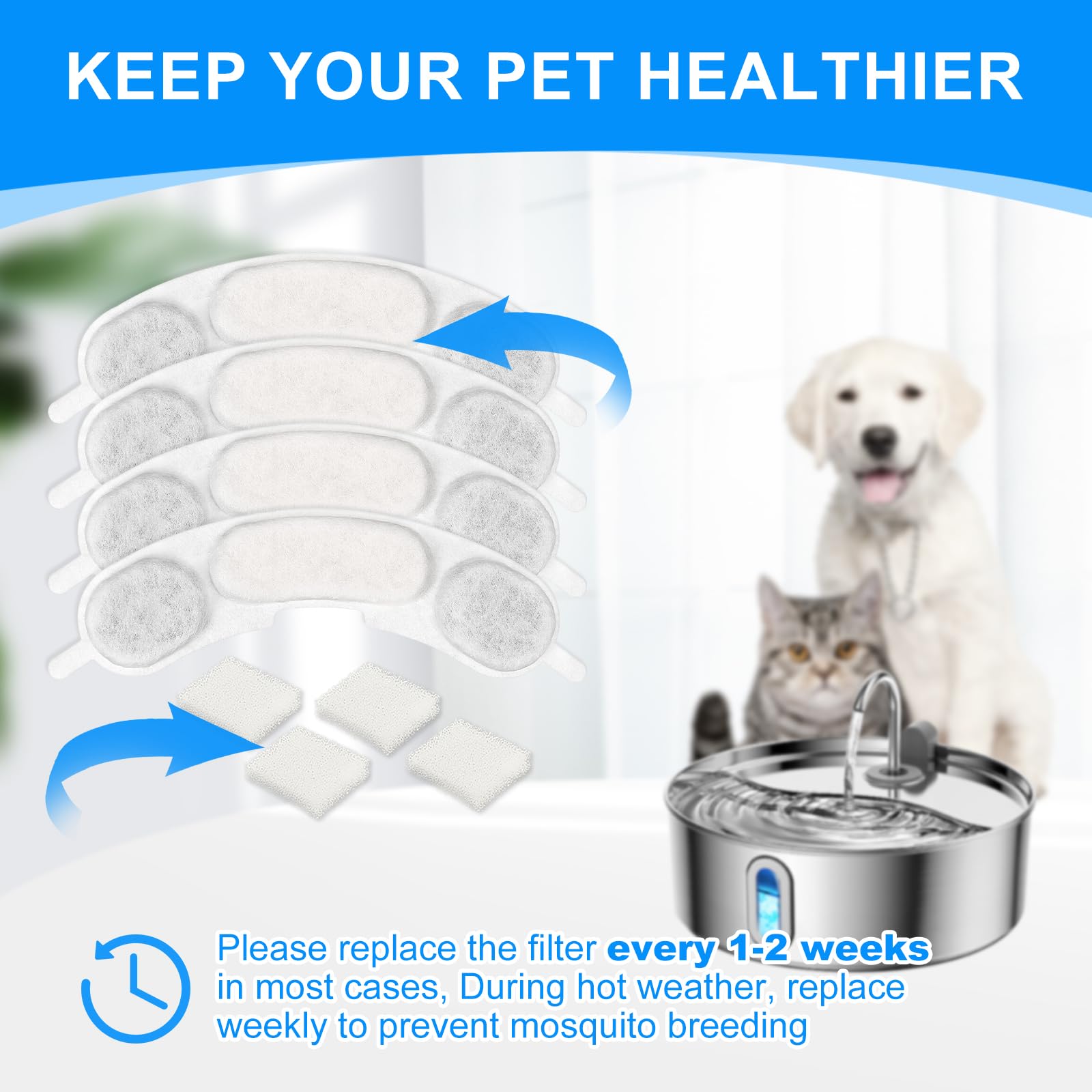 MyfatBOSS agua clara y fresca tras filtración para uso diario de tu mascota
