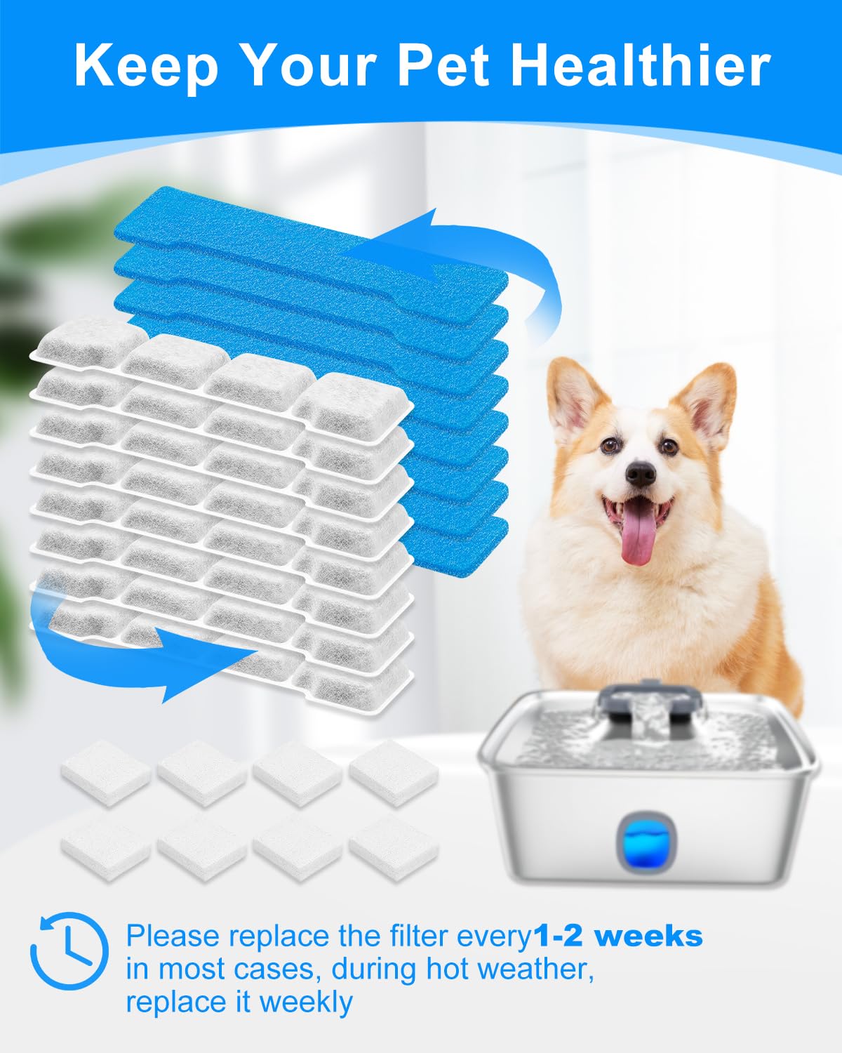 MyfatBOSS cambios de filtros recomendados mantienen hidratación estable.