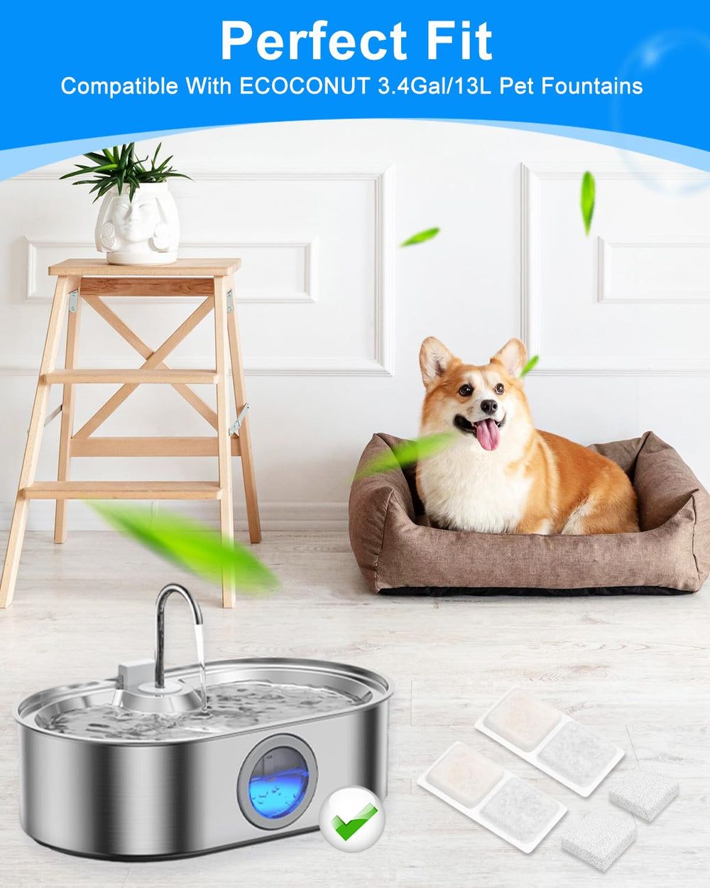 MyfatBOSS filtro-esponja-perro-fuente, atrapa pelos y partículas grandes.