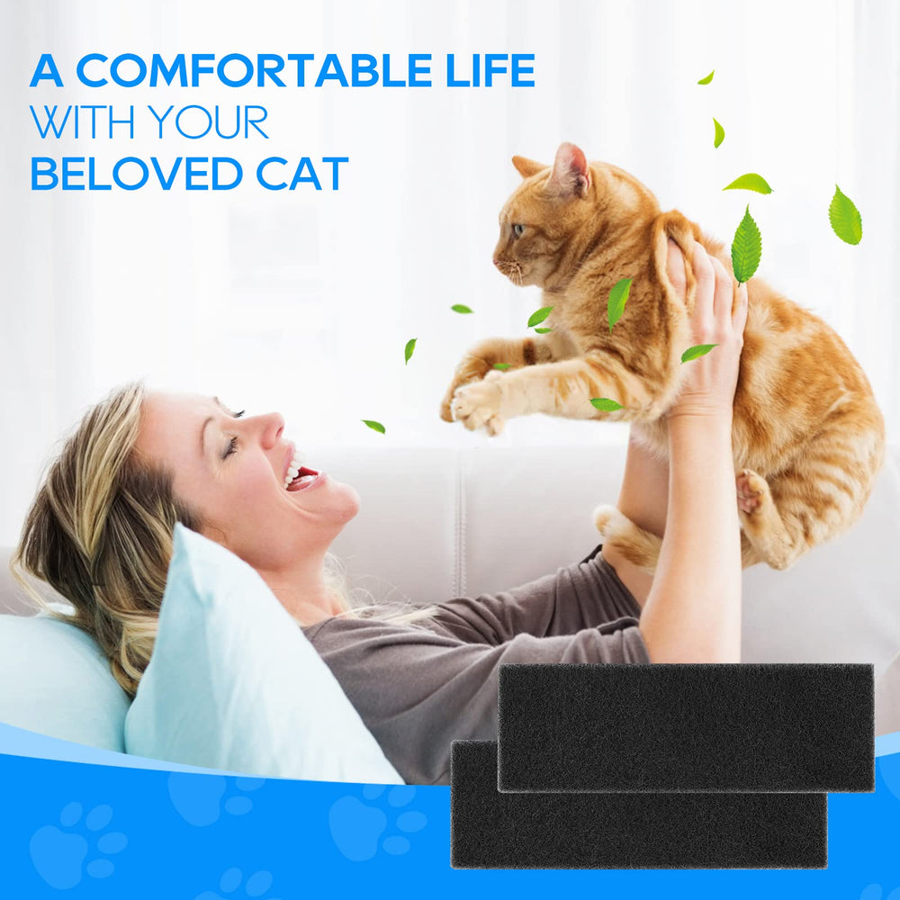 Regalo ideal para dueños de gatos, filtros de carbono MyfatBOSS.
