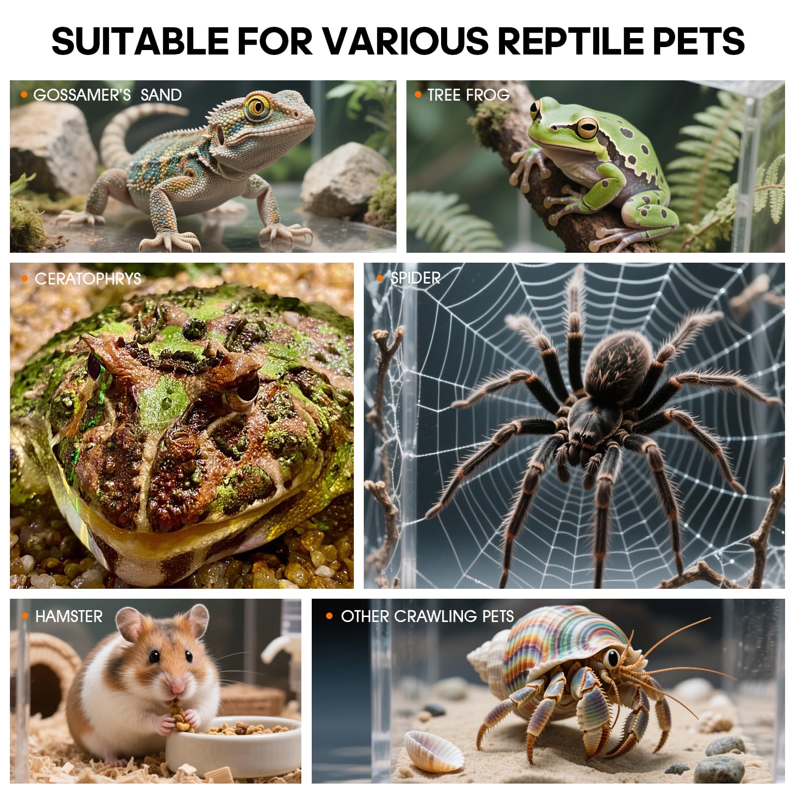 MYGIIKAKA caja insectos duradera y fácil de limpiar