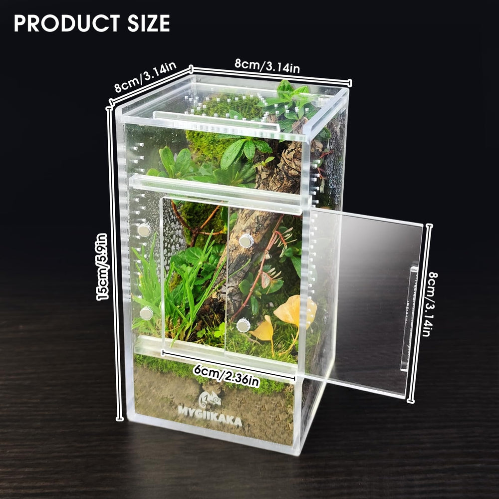 MYGIIKAKA habitat miniatura para insectos y aracnidos en casa.
