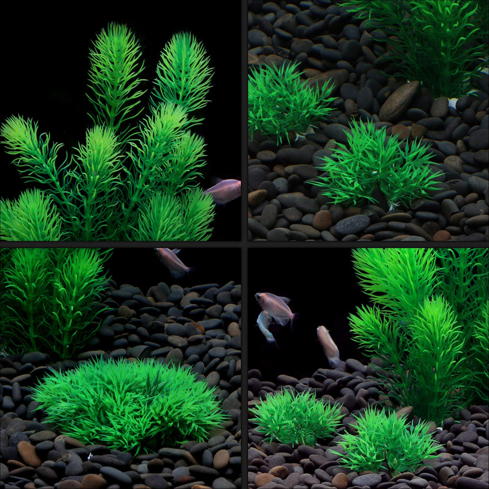 MyLifeUNIT decoraciones seguras y limpias que no alteran el agua ni la iluminación.