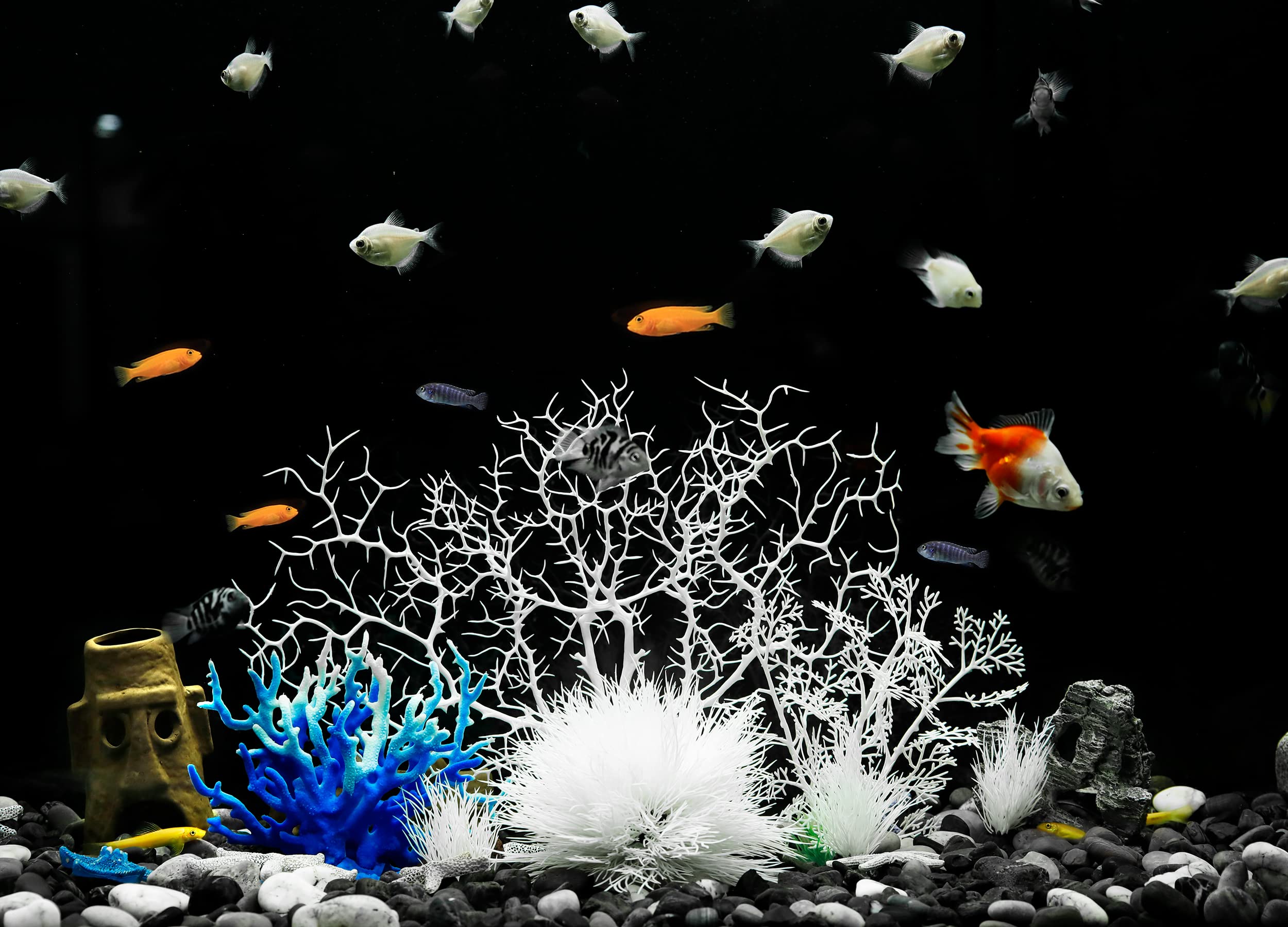 MyLifeUNIT ornamentos de acuario con base cerámica para estabilidad
