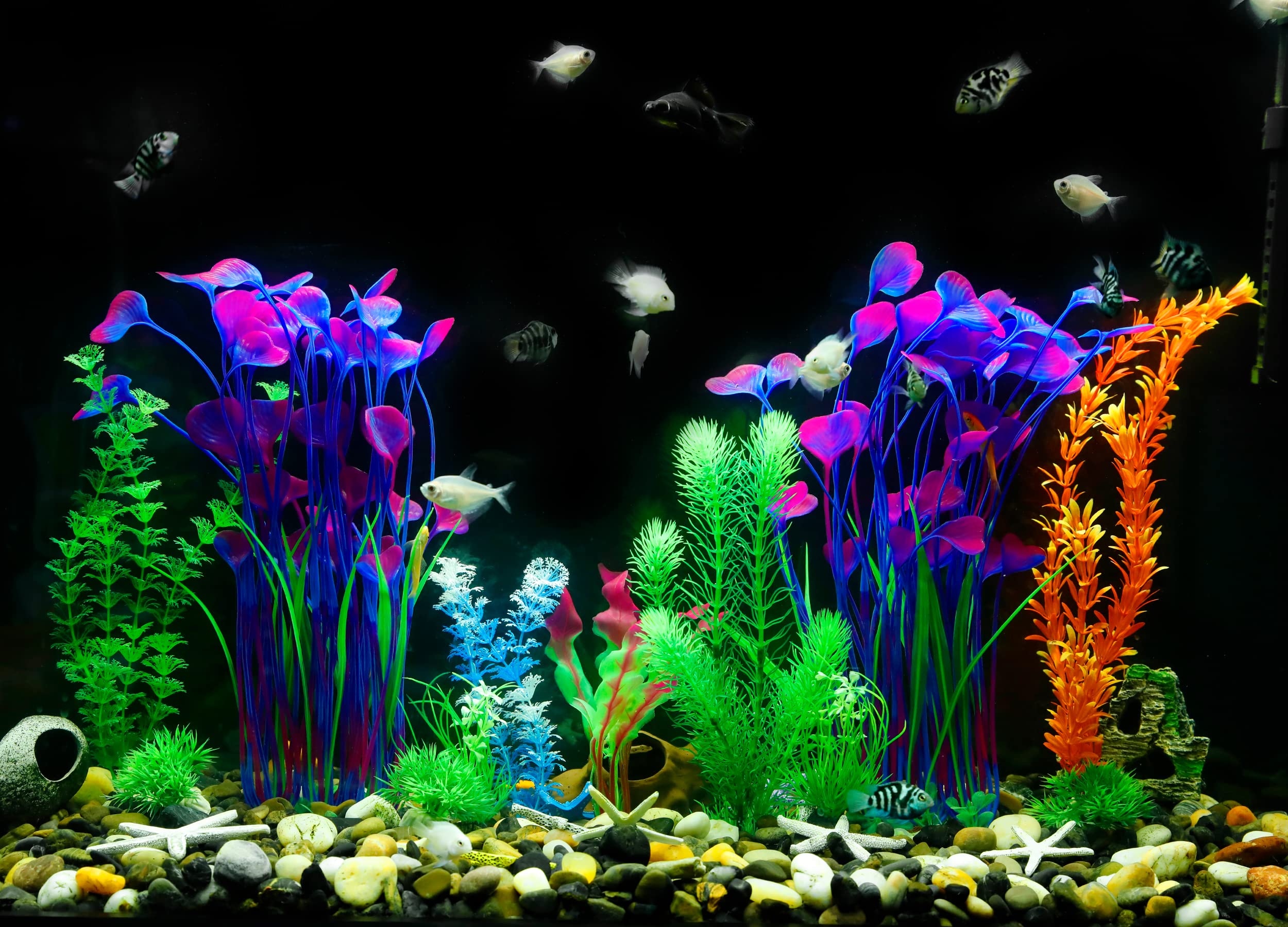 MyLifeUNIT planta acuario fácil de limpiar, uso a largo plazo