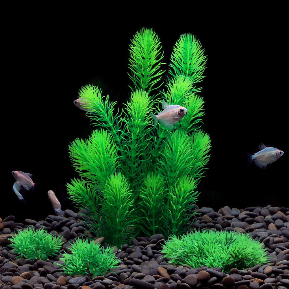 MyLifeUNIT plantas de acuario resistentes al desvanecimiento para agua salada y dulce.