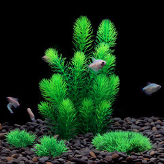MyLifeUNIT plantas de acuario resistentes al desvanecimiento para agua salada y dulce.