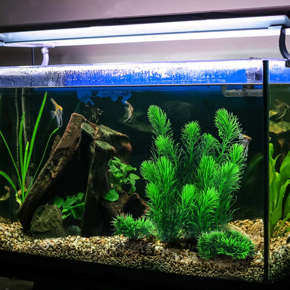 MyLifeUNIT decoración sin cuidado, ideal para decoraciones duraderas en el acuario.