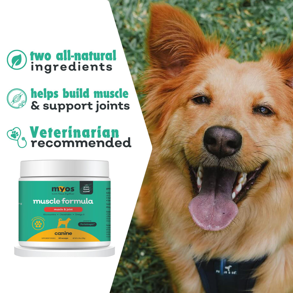 MYOS CANINE MUSCLE FORMULA etiqueta; información clara de ingredientes y beneficios