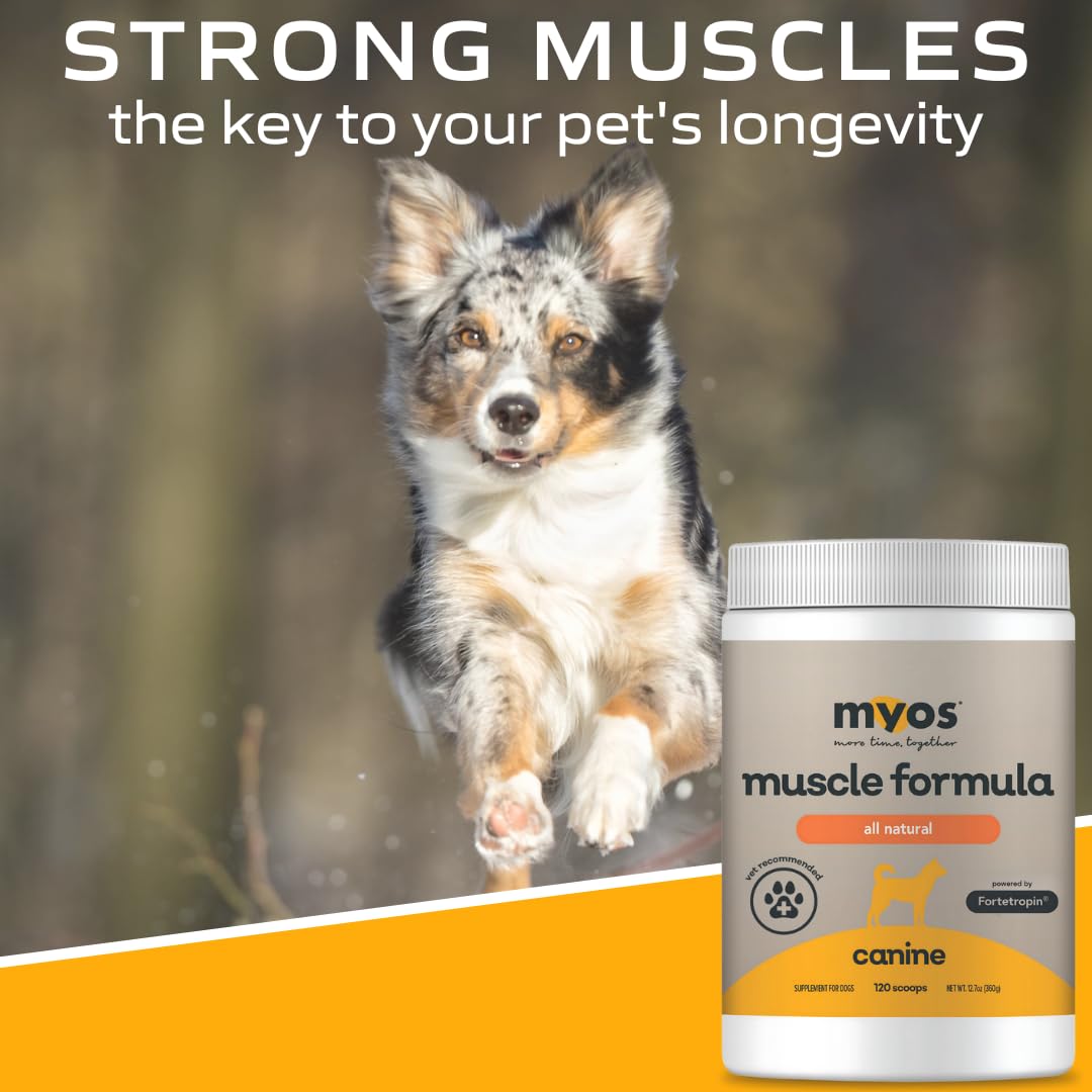 MYOS Canine Muscle Formula fabricada en EE. UU. y Alemania