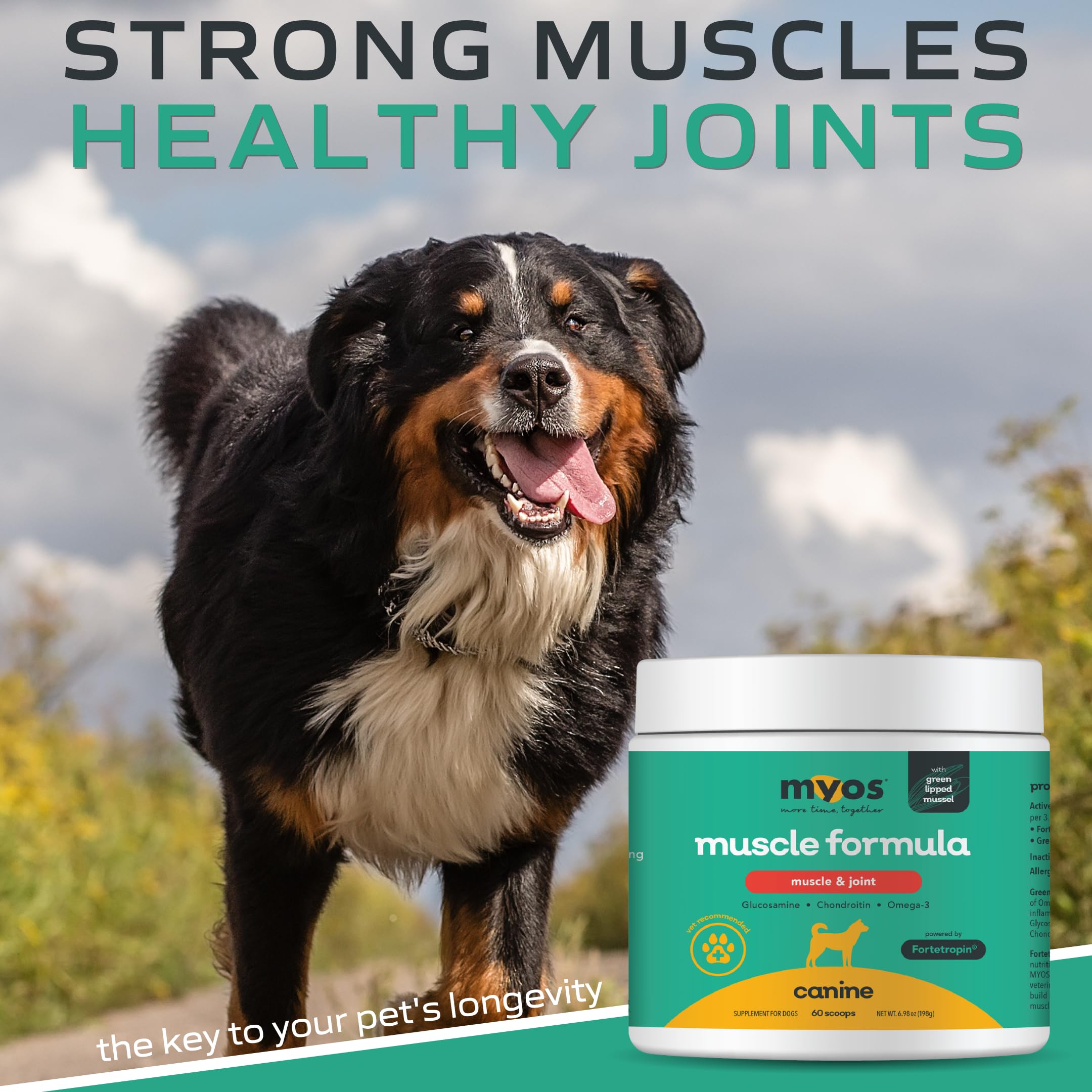 MYOS CANINE MUSCLE FORMULA ingredientes naturales; sin gluten y seguridad para perros