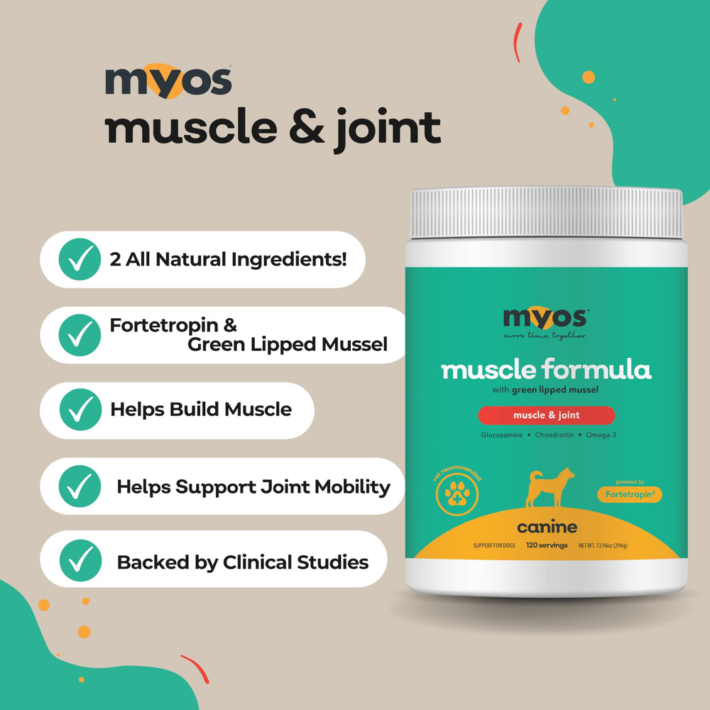 MYOS con mejillón verde, ingrediente clave para articulaciones saludables