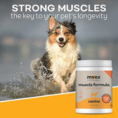 MYOS Canine Muscle Formula mejora la movilidad diaria de tu perro