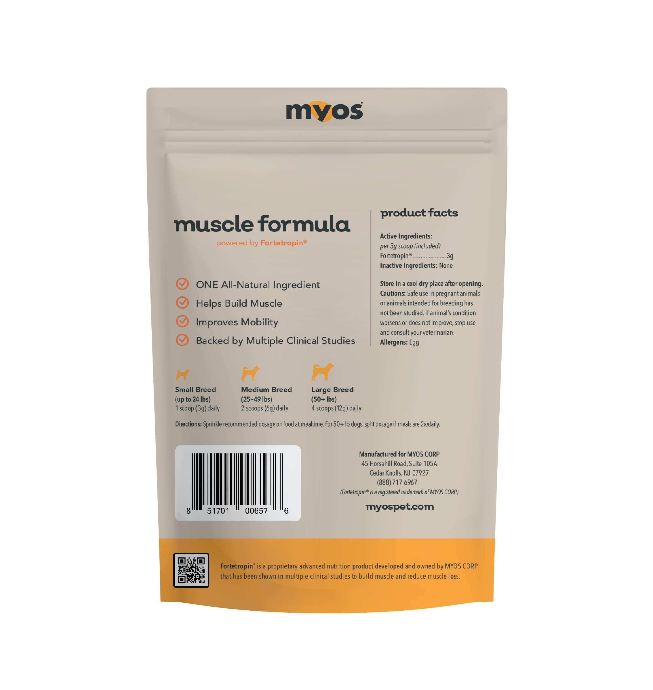 Perro activo y feliz gracias al soporte muscular natural de MYOS.