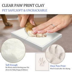 MYPAWLETS accesorios personalizables para un recuerdo único