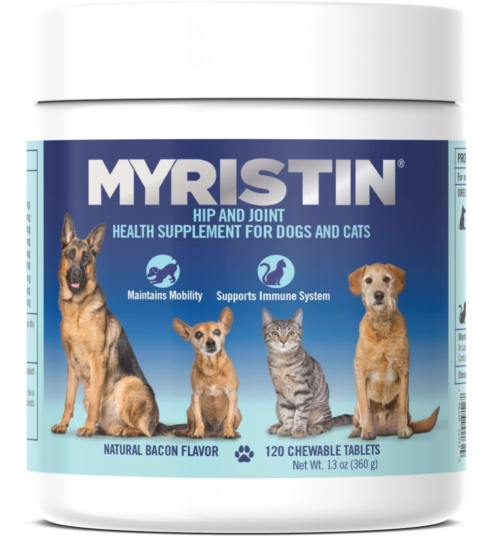 Myristin: botella de masticables para articulaciones que apoya la movilidad diaria.