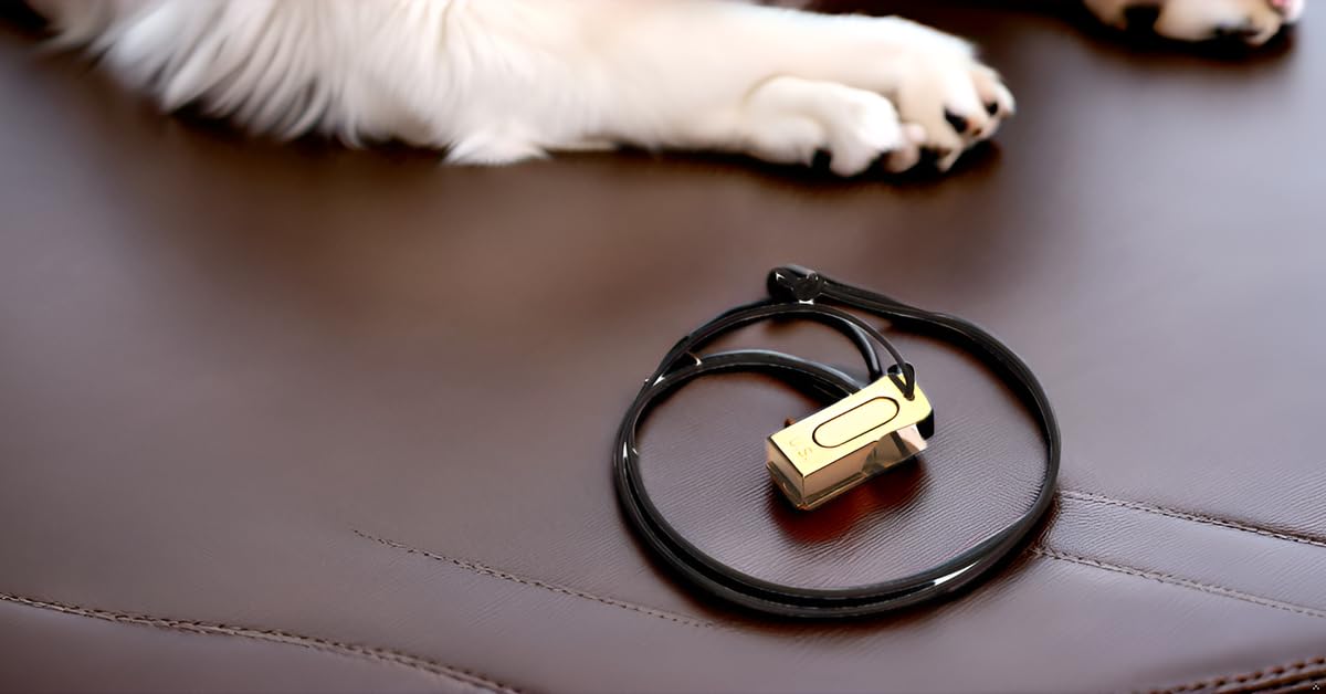 clic Mythrojan ideal para entrenar en casa: practico y facil de usar.