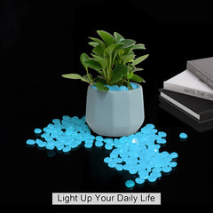 Piedras fosforescentes Mzekgxm para interiores, decoración luminosa