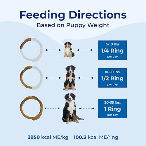 N-Bone: anillos dentición cachorros forma redonda para agarre cómodo.
