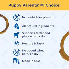 N-Bone: anillos dentición torcidos para cachorros, fáciles de agarrar
