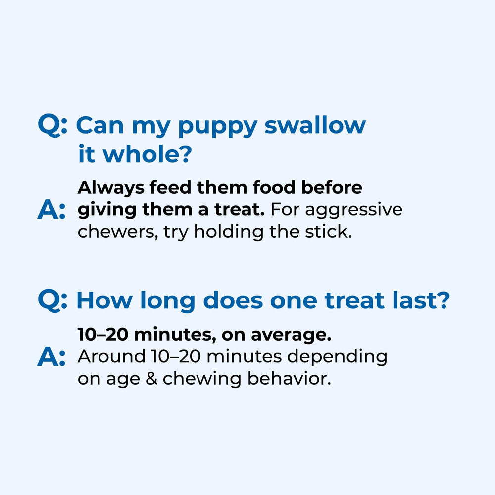 N-Bone Puppy Teething Sticks: presentación de variedad para degustación segura