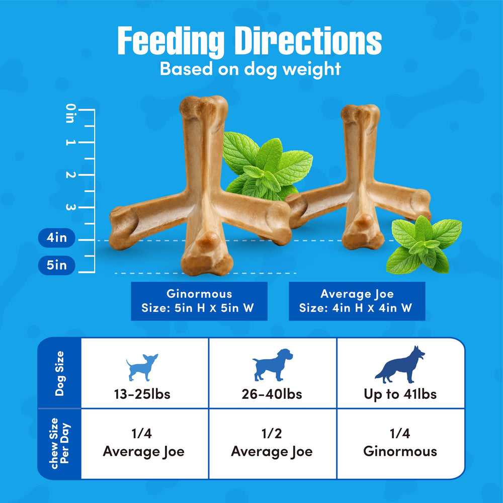 N-Bone Quado Interactive Chew, en mano, ideal para sesiones de juego.
