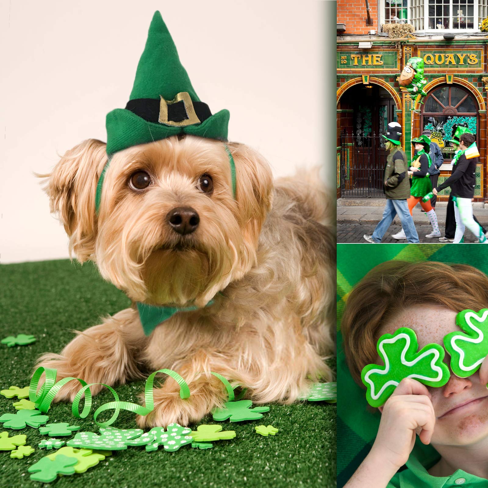 NAMSAN disfraz completo para gato o perro pequeño con tema de San Patricio.