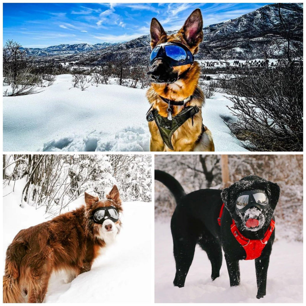 Ajuste ergonómico sin dolor con gafas NAMSAN para perros grandes