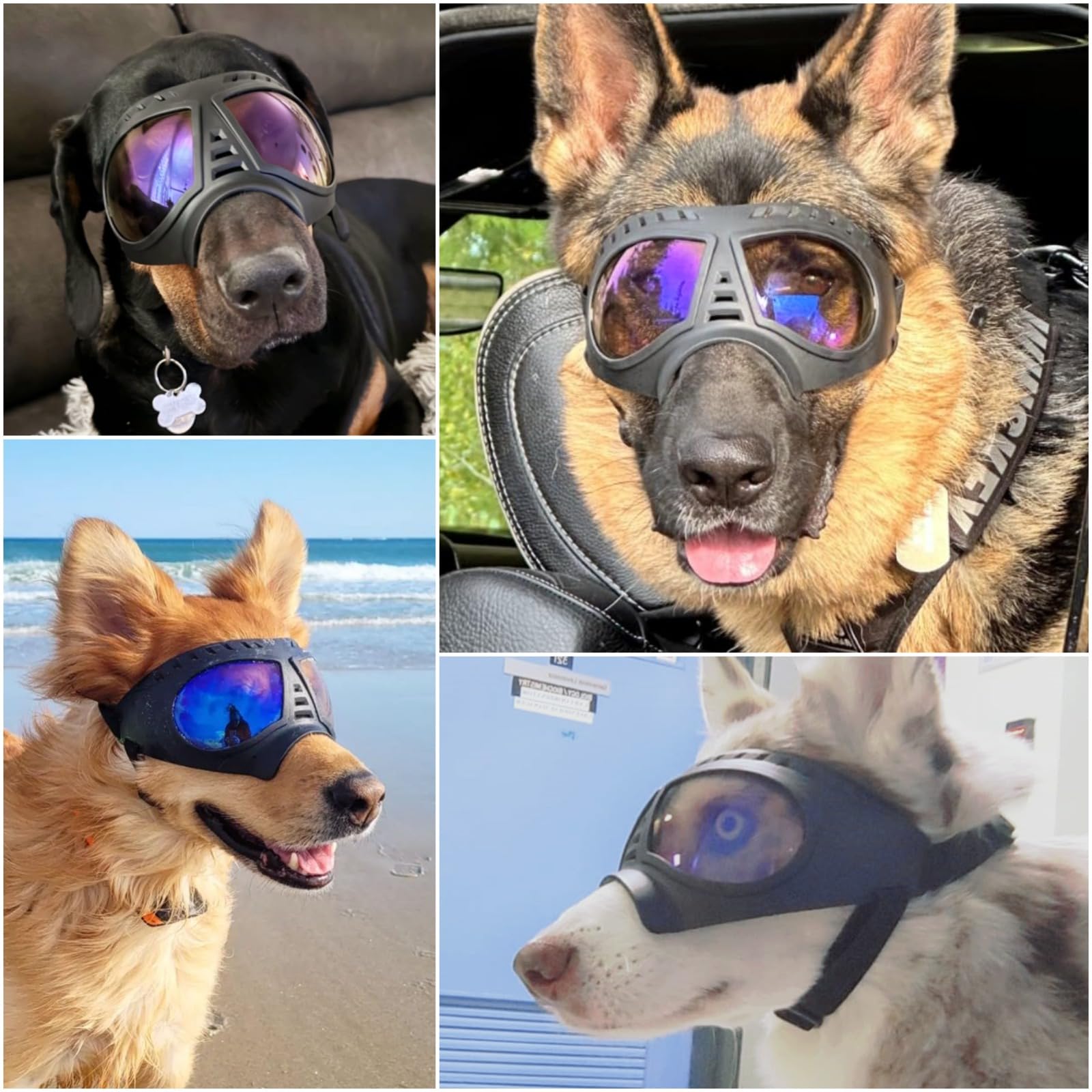 Gafas NAMSAN para perros grandes con marco suave, comodidad durante caminatas.