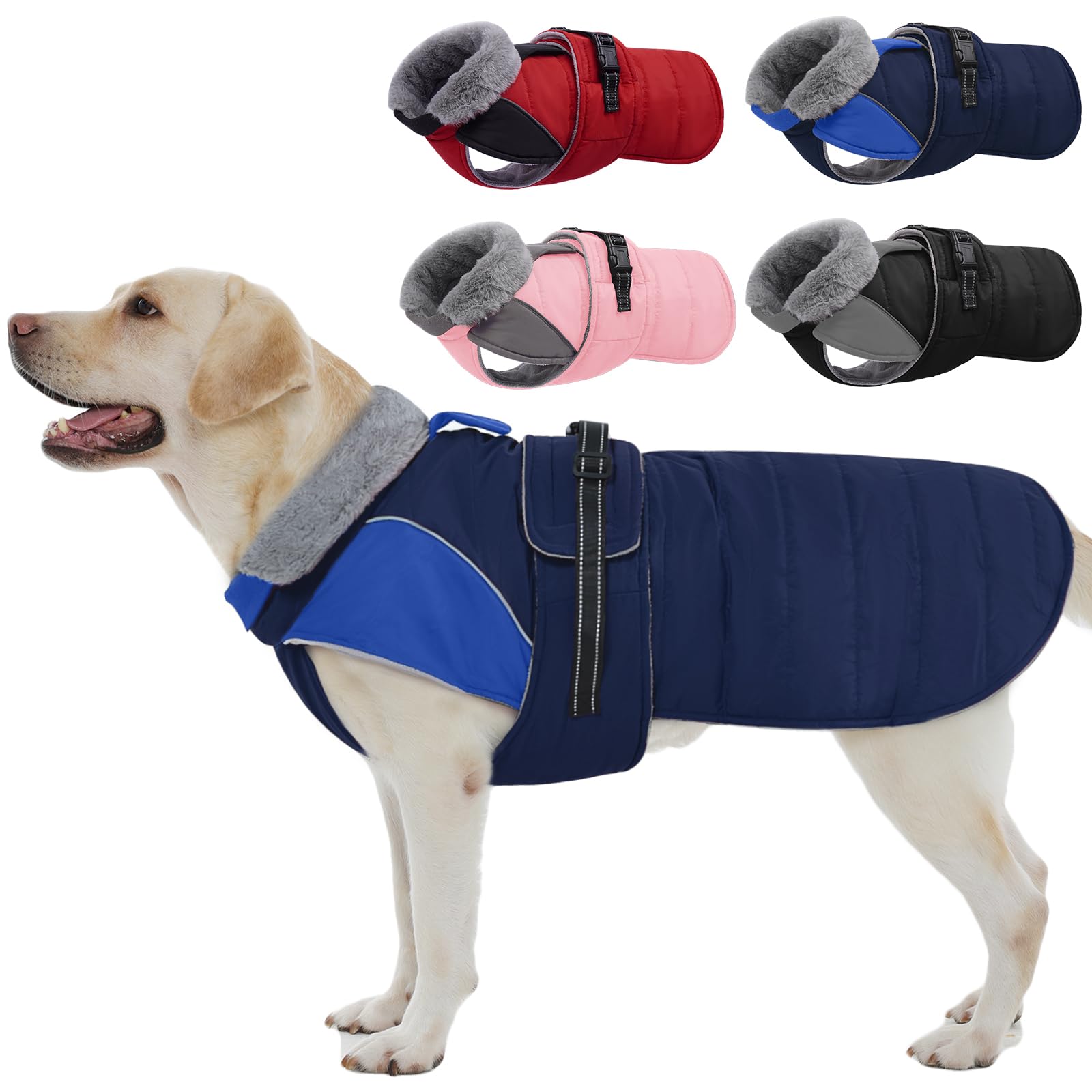 Nanaki capa de invierno para perro grande en azul protege del frío durante paseos