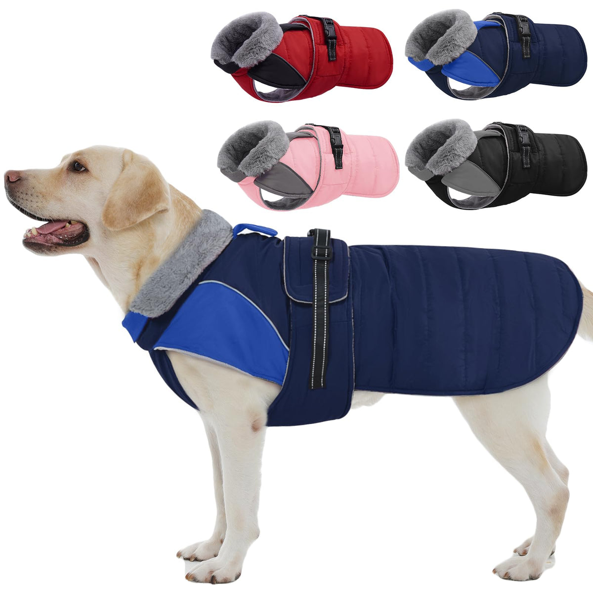 Nanaki capa de invierno para perro grande en azul protege del frío durante paseos