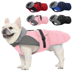 Nanaki capa de invierno para perro con protección impermeable para paseos en lluvia.