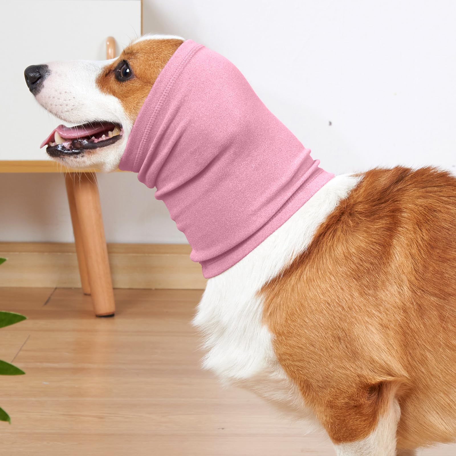 Nanaki evita pelo en la comida, ideal para perros de pelo largo