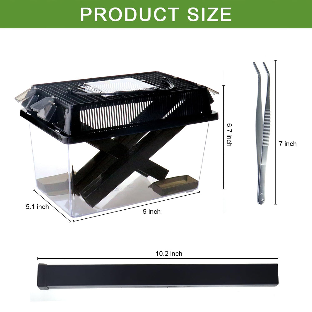 NANEEZOO Contenedor para grillos, sistema de ventilación visible para observación.
