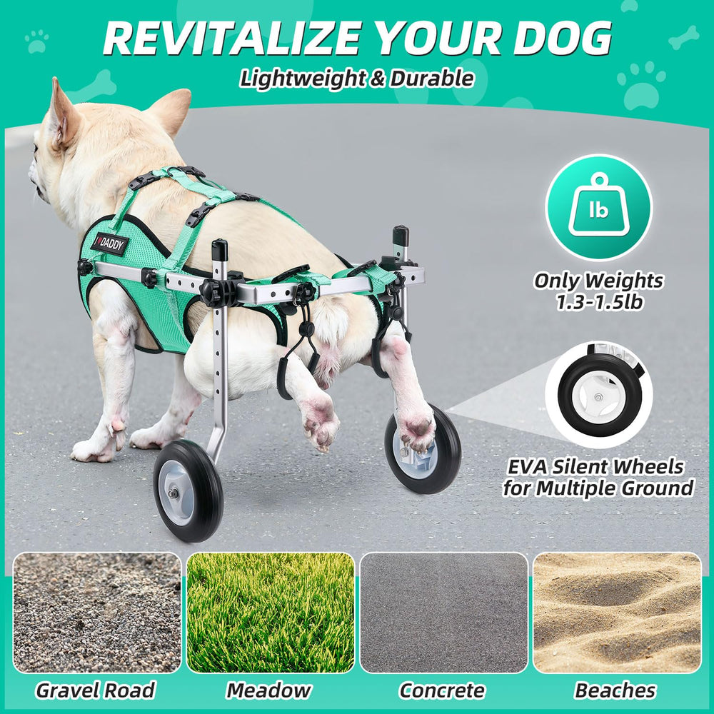 Nasjac silla-ruedas-perro-paseos-exteriores ideal para salidas al parque.