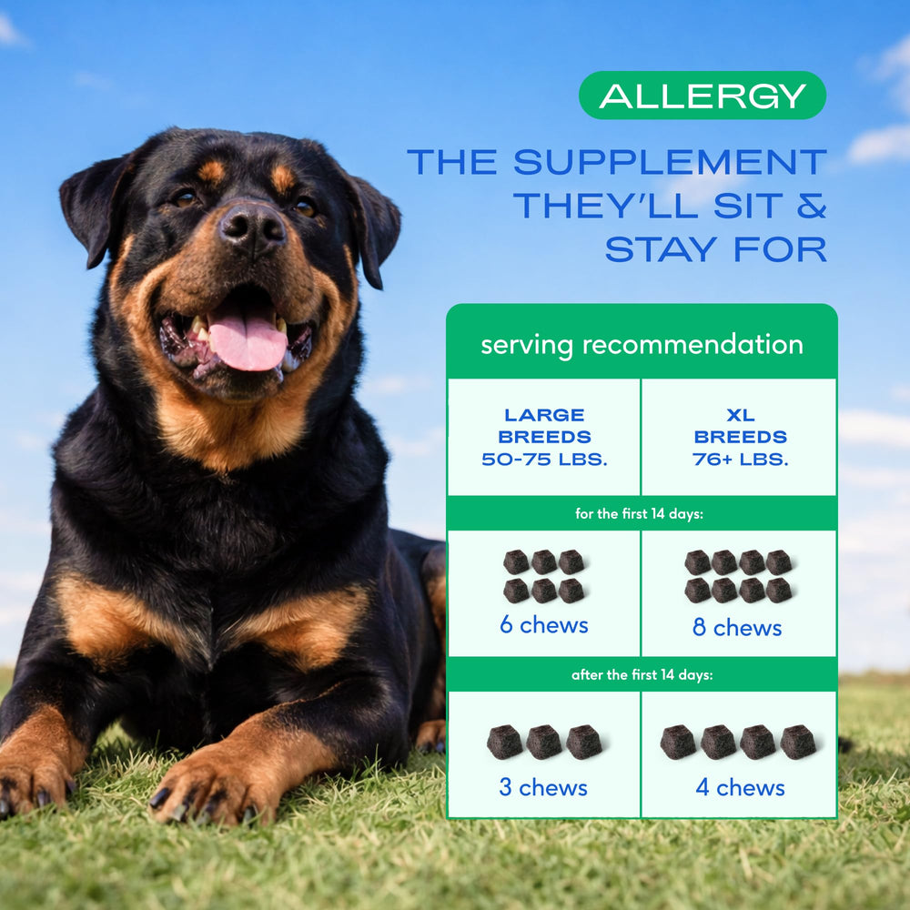Native Pet Alergia para perros grandes: probióticos para una digestión equilibrada