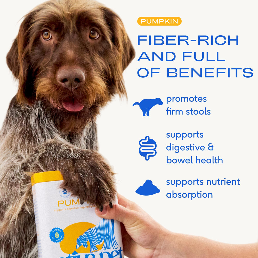 Calabaza para perros de Native Pet, ingredientes orgánicos de origen natural