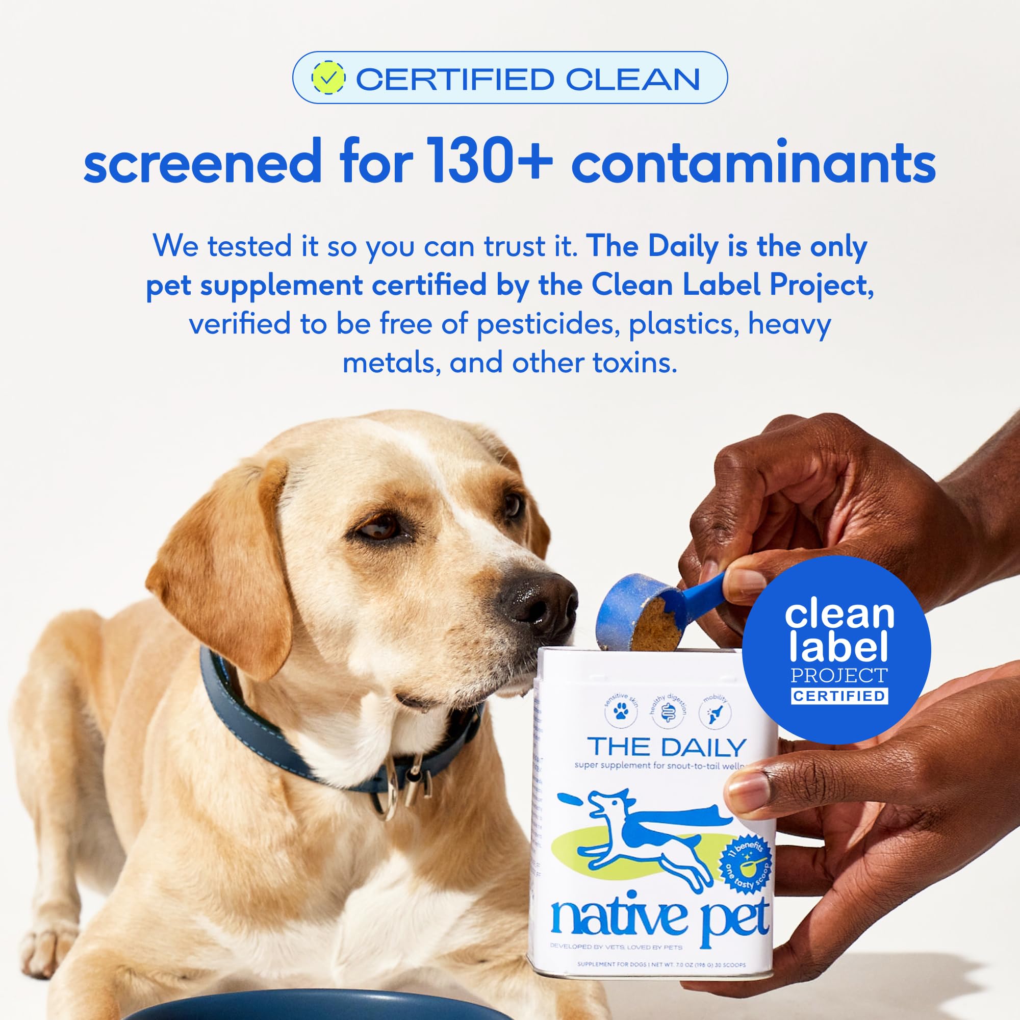 Native Pet complemento para dietas caseras, polvo espolvoreado sobre comida masticable.