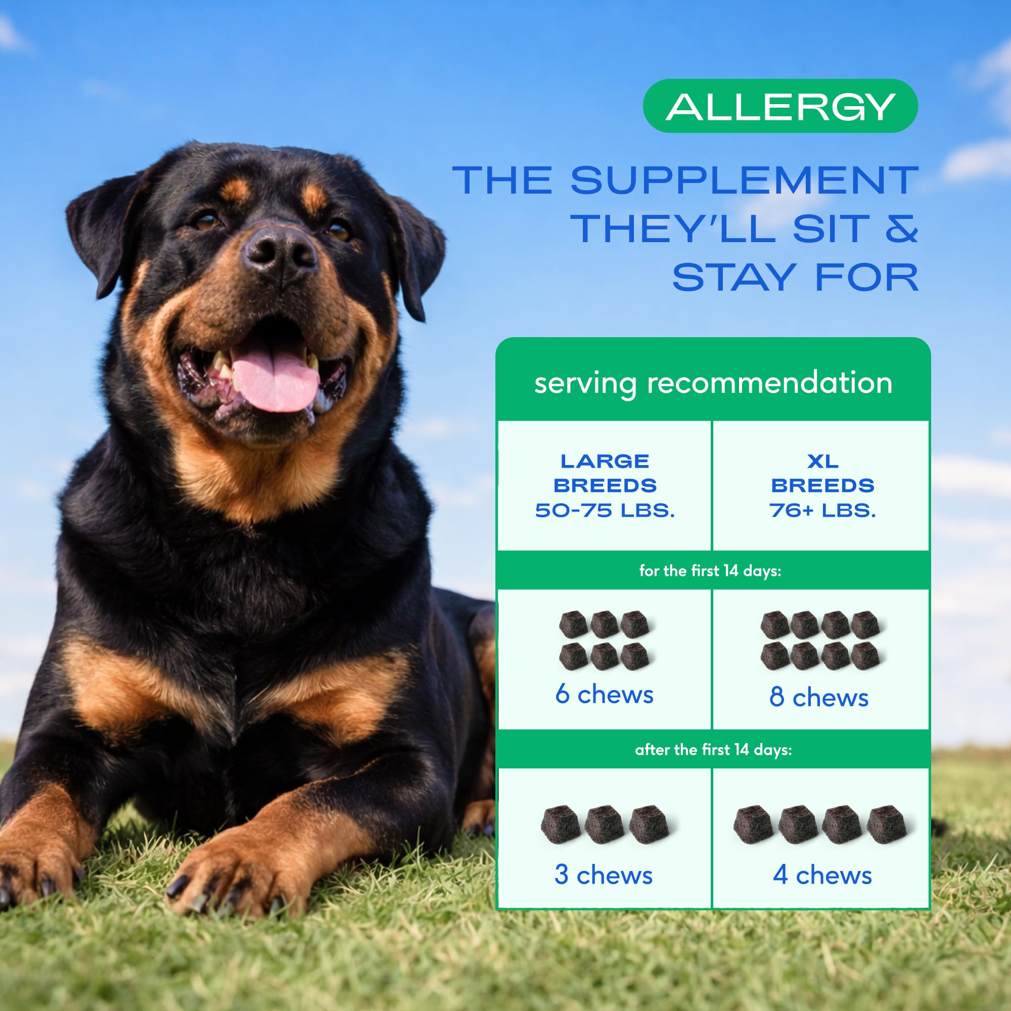 Native Pet Dog Allergy Chews aceite de algas, aporta grasas saludables para la piel.