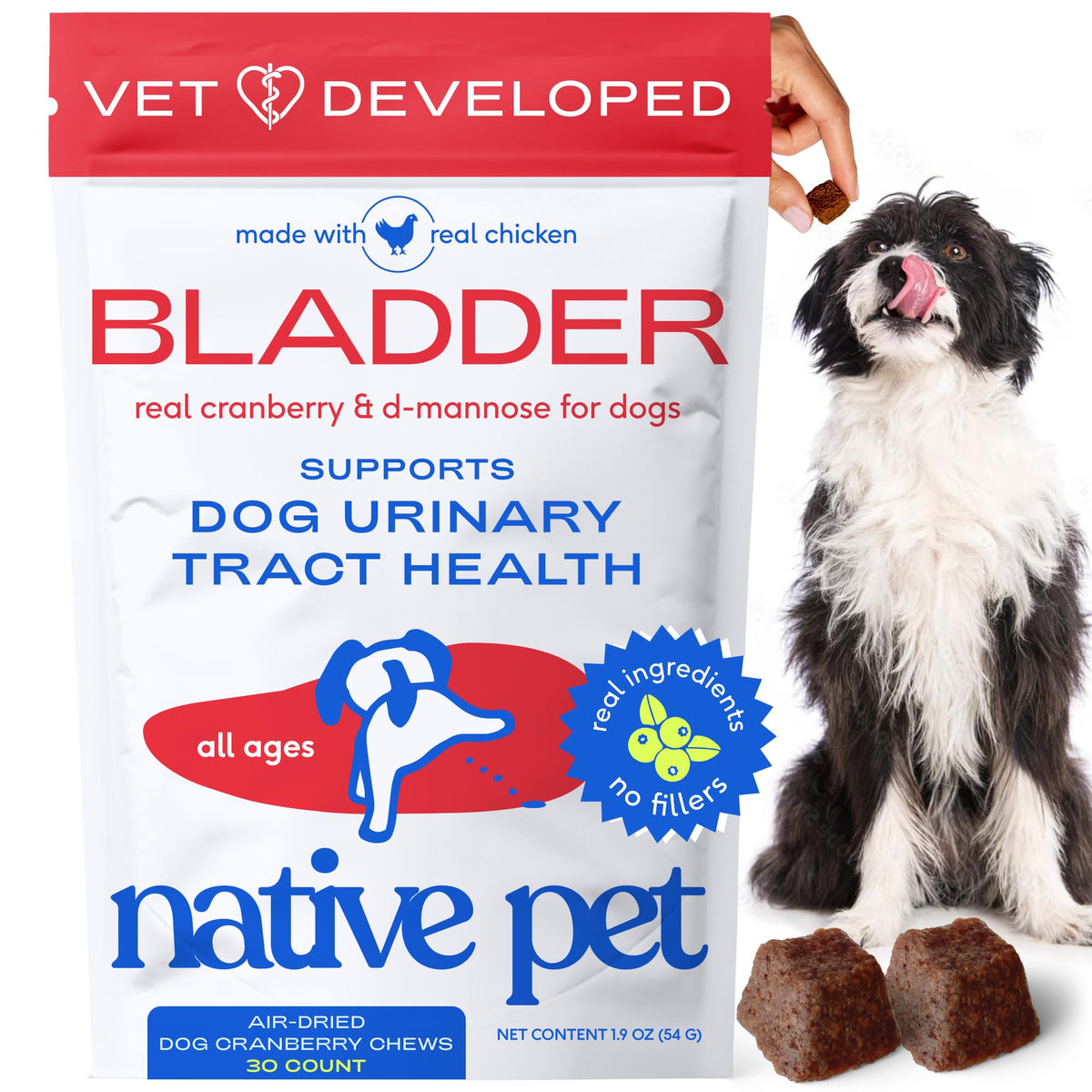 Native Pet Dog UTI Chews bottle with real cranberry extract for urinary support.