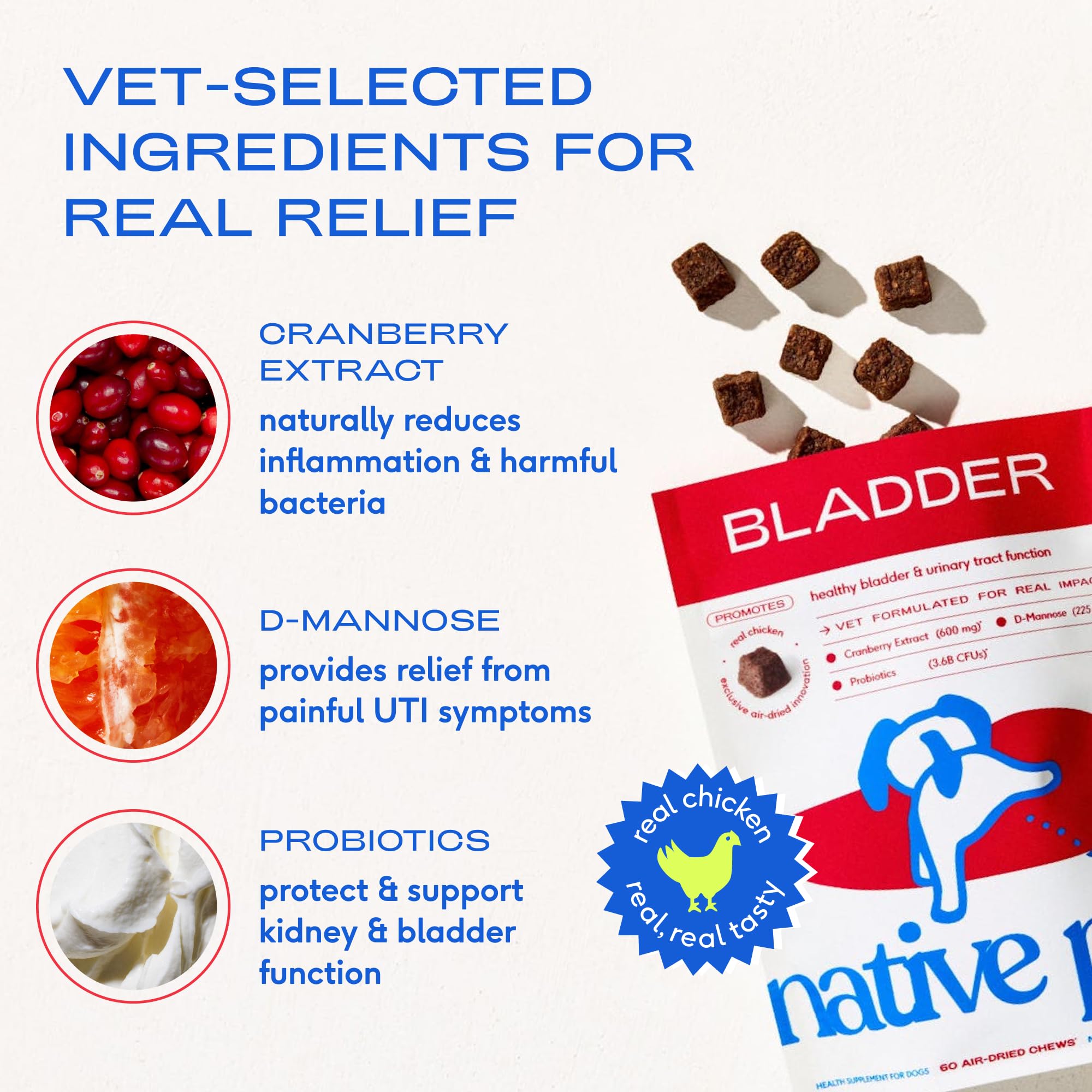 Native Pet Dog UTI Chews dosing guide illustrating simple daily use.