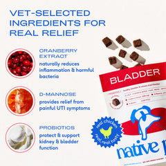 Native Pet Dog UTI Chews dosing guide illustrating simple daily use.