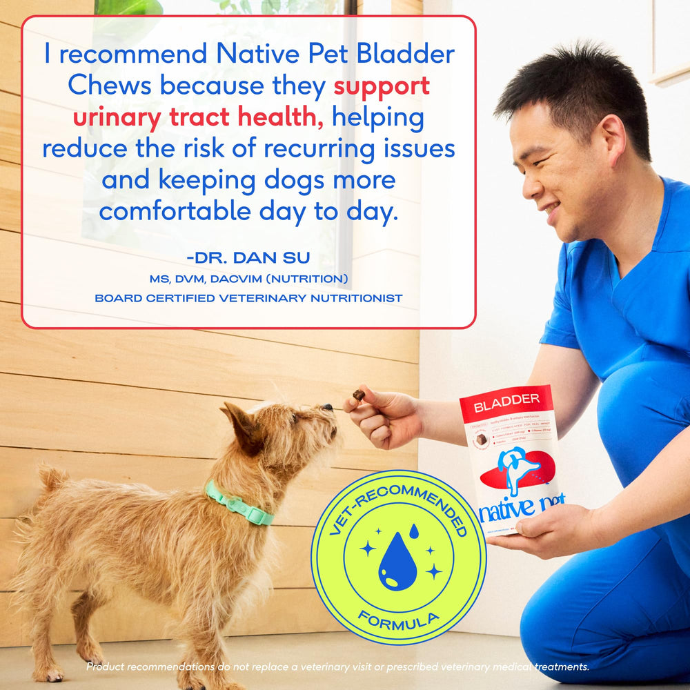 Native Pet Dog UTI Chews USA-made label emphasizing domestic production.