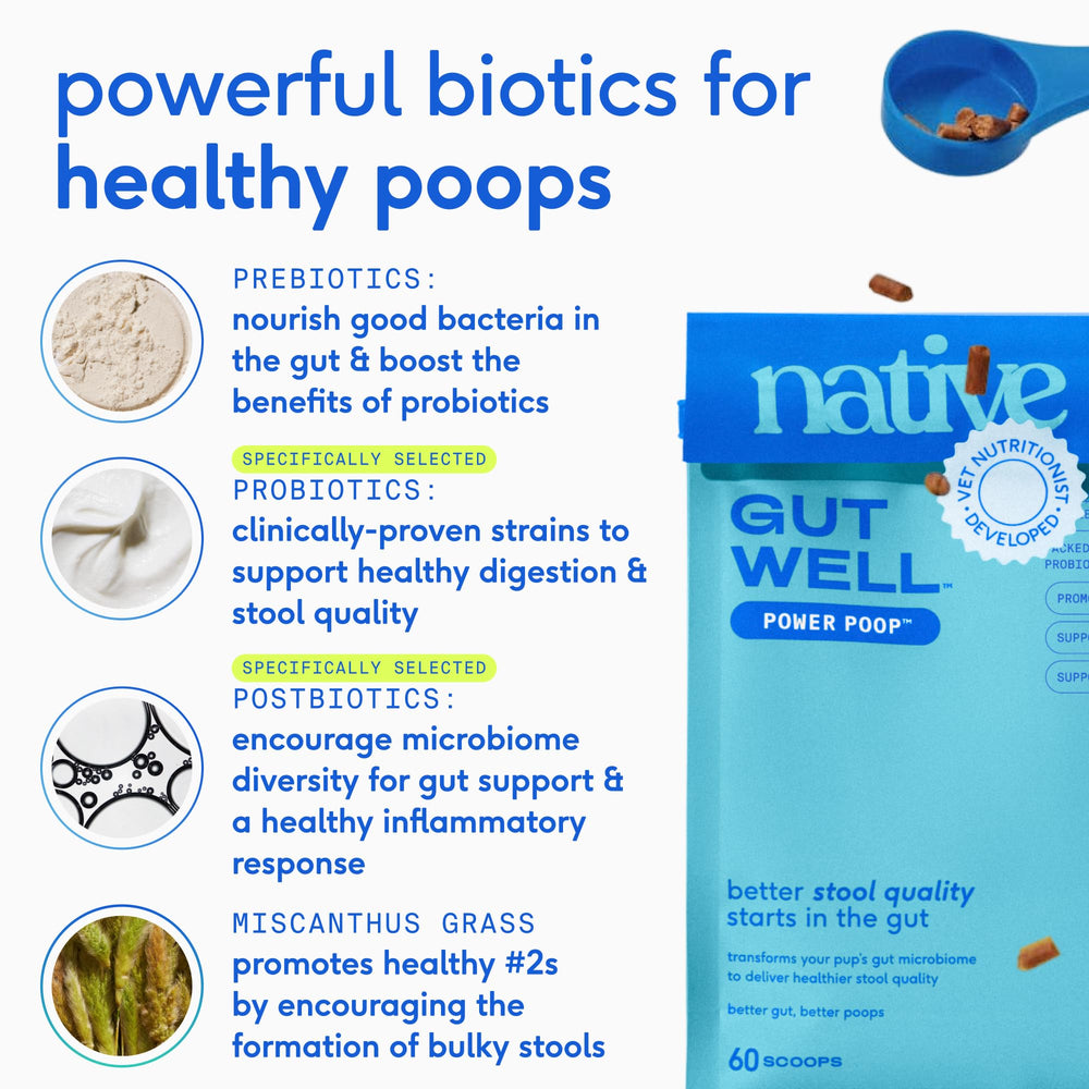 Native Pet GutWell Power Poop: dosis diaria fácil de mezclar durante la comida.
